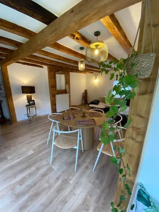 L'Ancien Hotel Du Vieux Cedre Arreau Apartment